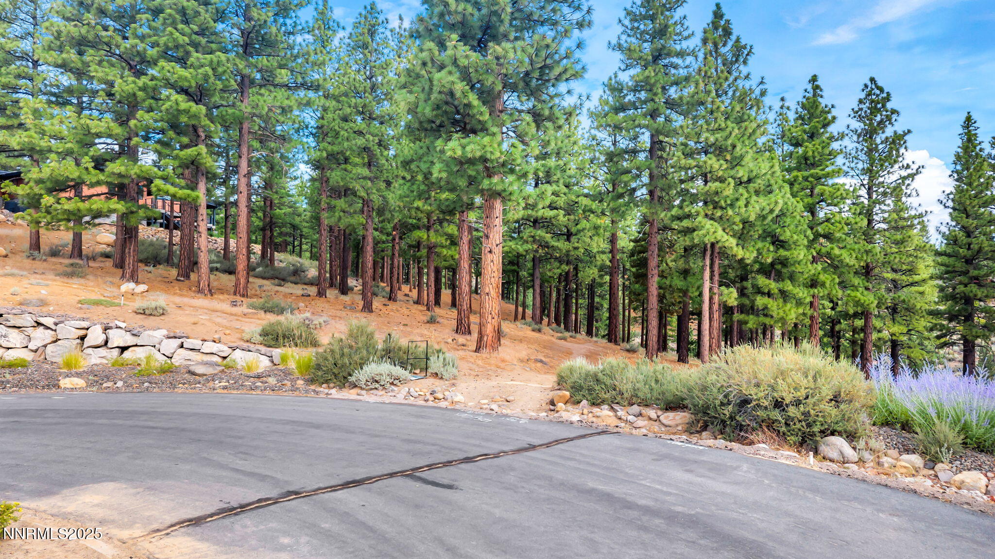 205 Timbercreek Court Reno, NV 89511 - Photo 10 of 13 a view of a yard with plants and trees