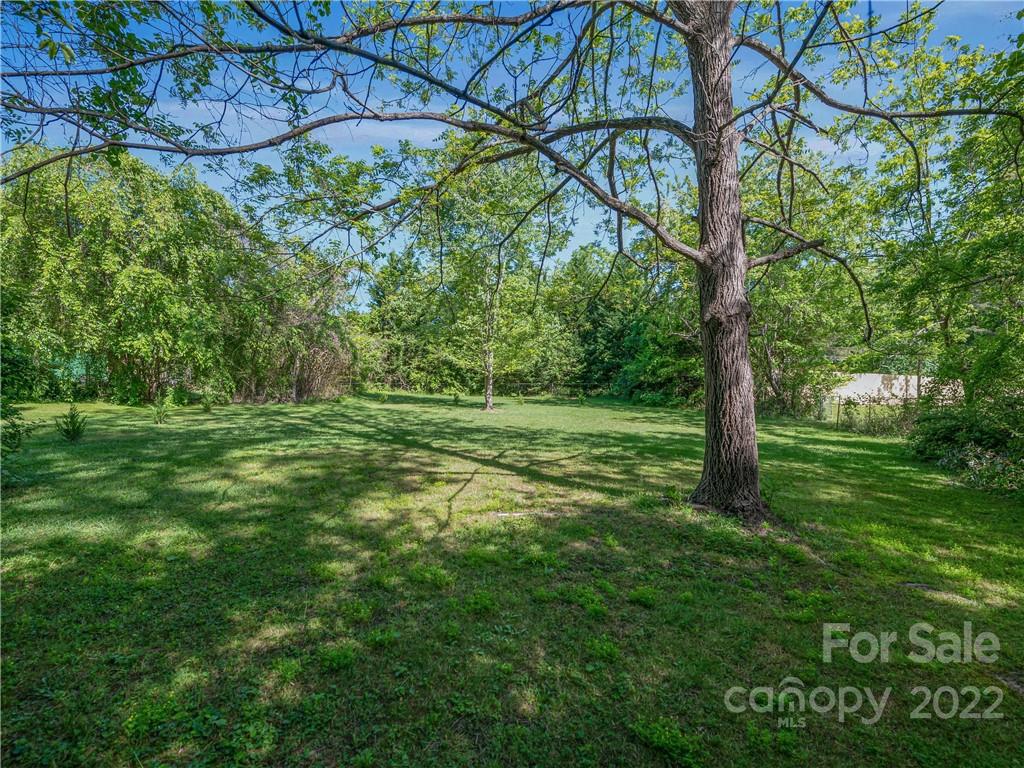 99999 OLD Shoals Rd Extension Arden, NC 28704 - Photo 4 of 31 Gallery Image 4