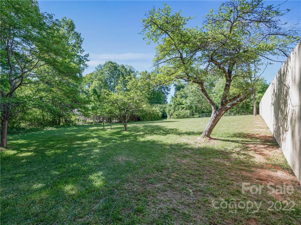 99999 OLD Shoals Rd Extension Arden, NC 28704 - Photo 8 of 31 Gallery Image 8
