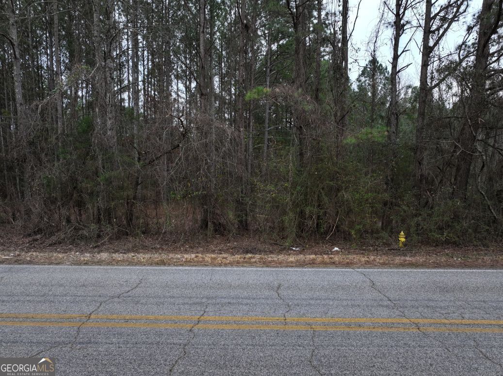 0 Victory Road, Unit LOT 3 Franklin, GA 30217 - Photo 3 of 4
