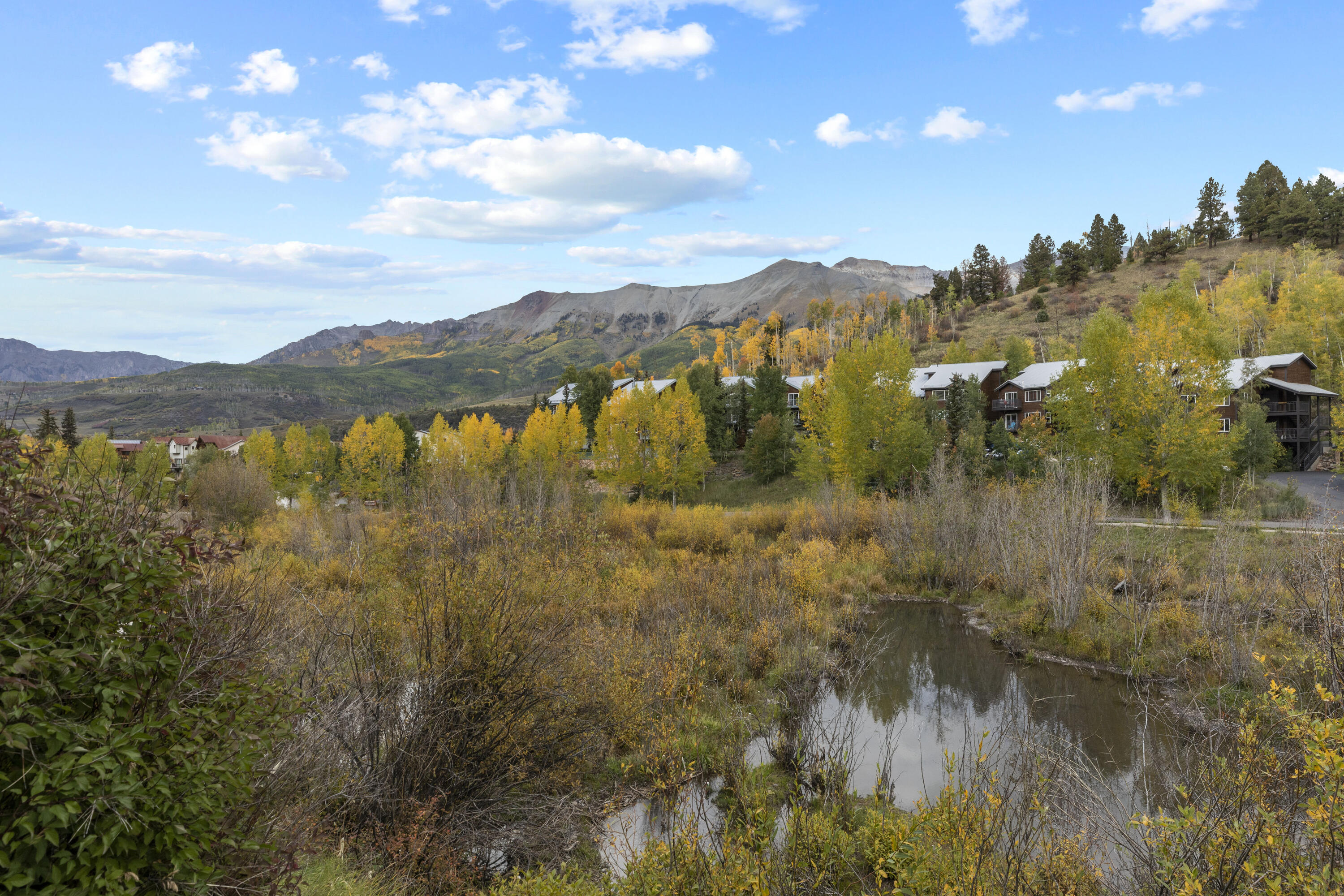 302 Adams Ranch Road, Unit 1 Mountain Village, CO 81435 - Photo 28 of 34 C12A9920