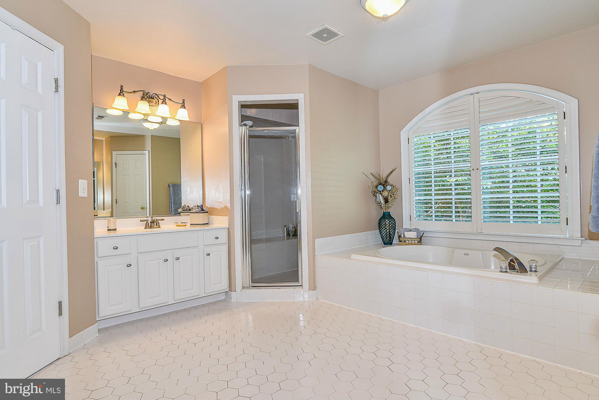 7862 Pembridge Road Manassas, VA 20112 - Photo 16 of 30 Master Bathroom