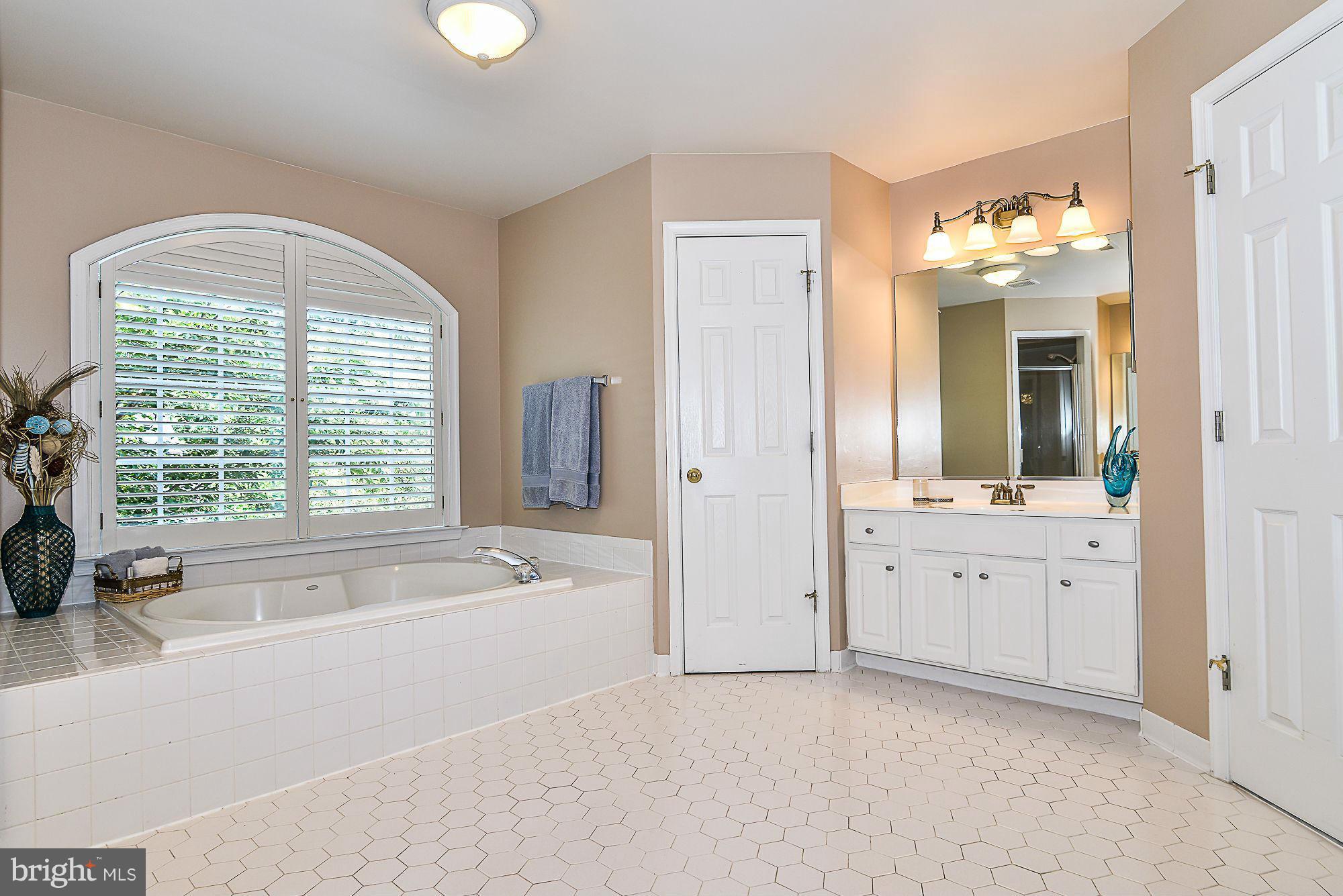 7862 Pembridge Road Manassas, VA 20112 - Photo 17 of 30 Master Bathroom