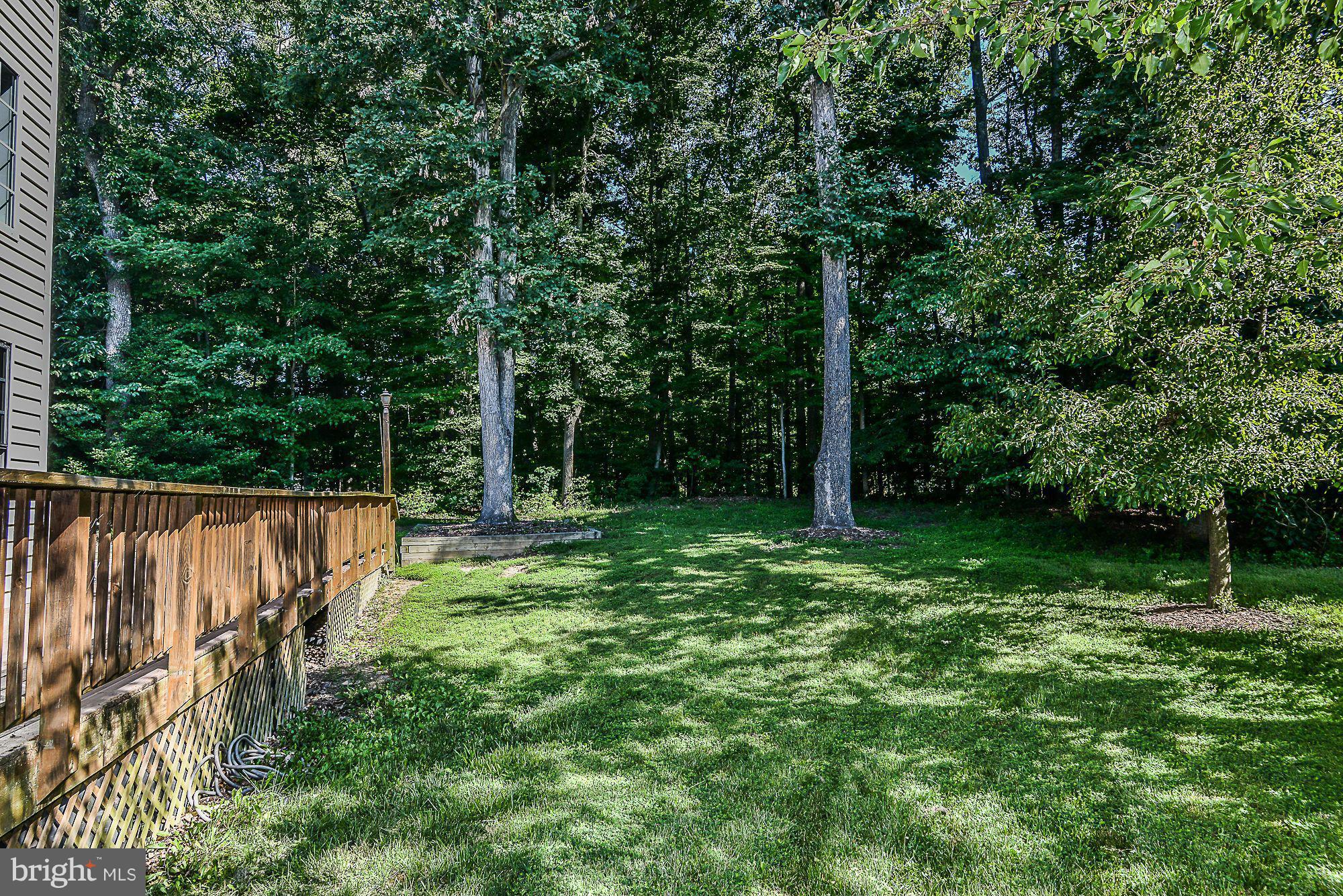 7862 Pembridge Road Manassas, VA 20112 - Photo 24 of 30 Back Yard