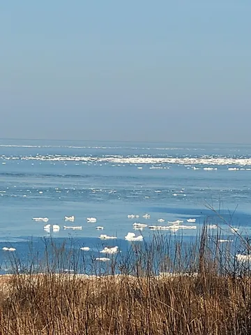 $1,749,000 | 3170 Wild Dunes Path, Stevensville, MI 49127