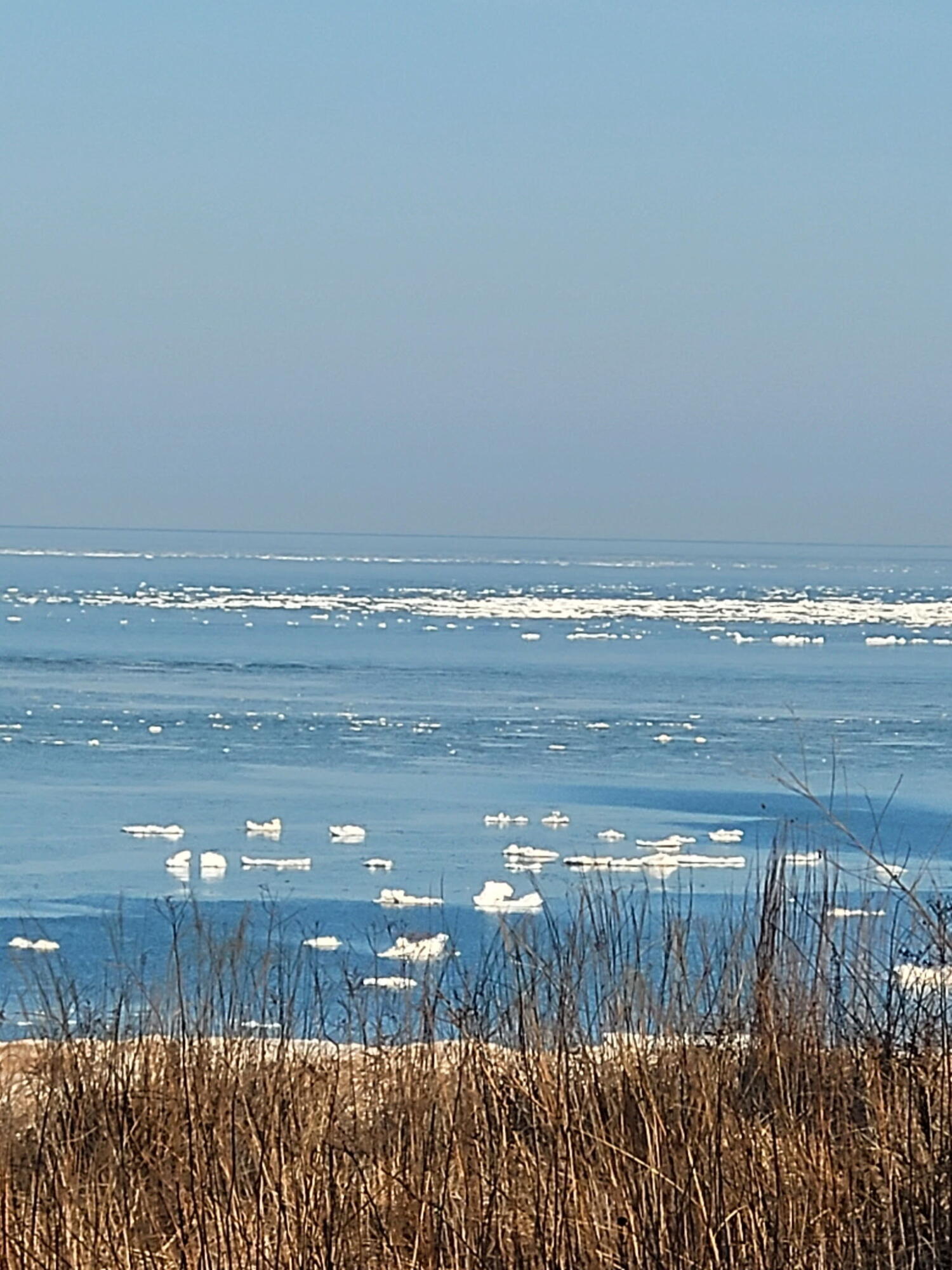 3170 Wild Dunes Path Stevensville, MI 49127 - Photo 38 of 52 4541942152010272616