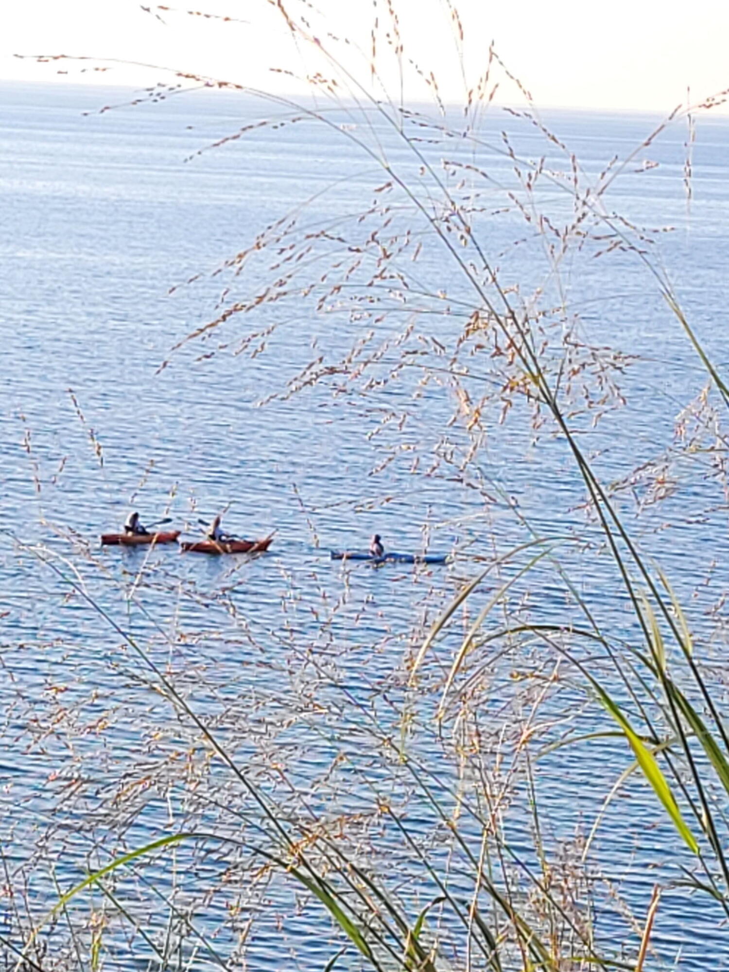 3170 Wild Dunes Path Stevensville, MI 49127 - Photo 39 of 52 3000061269827677919