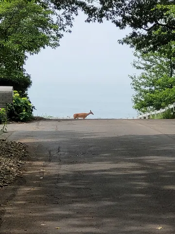 $1,749,000 | 3170 Wild Dunes Path, Stevensville, MI 49127