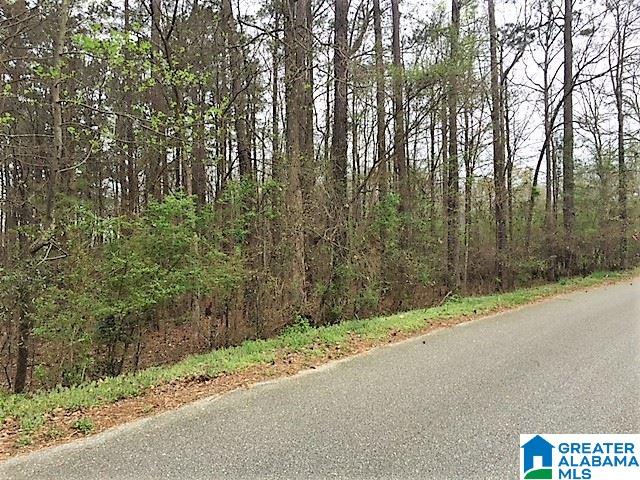 0 Patton Road, Unit 3 Tuscaloosa, AL 35404 - Photo 1 of 5
