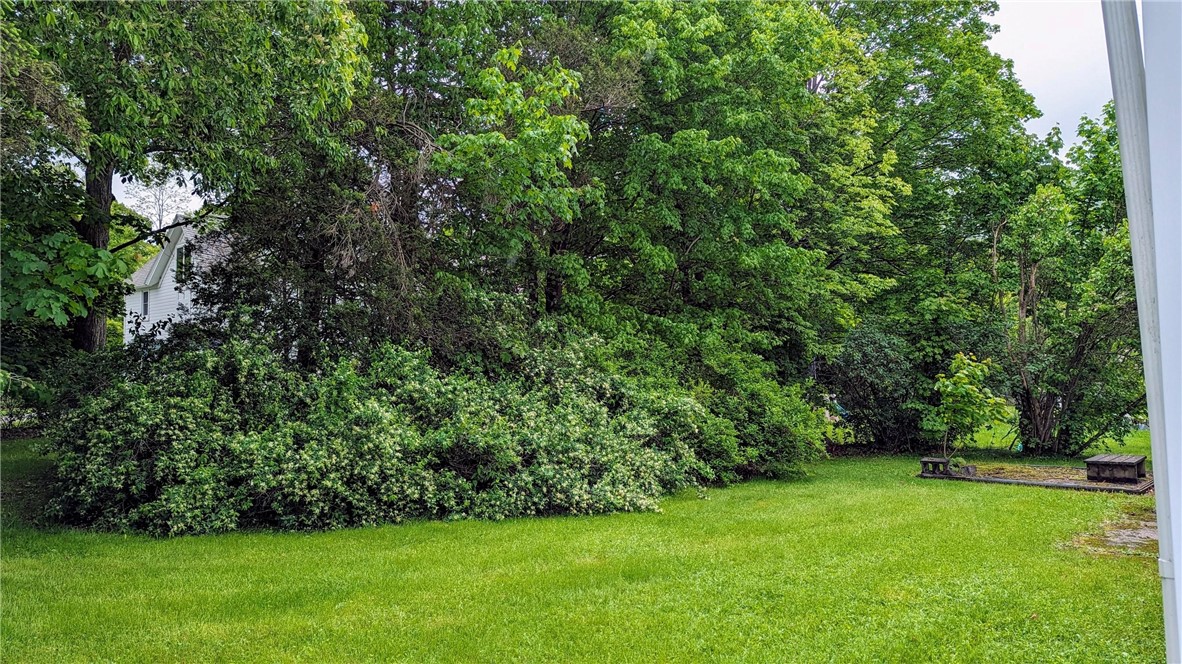 7 Maple Street Walton, NY 13856 - Photo 3 of 25 Mature landscaping gives nice privacy