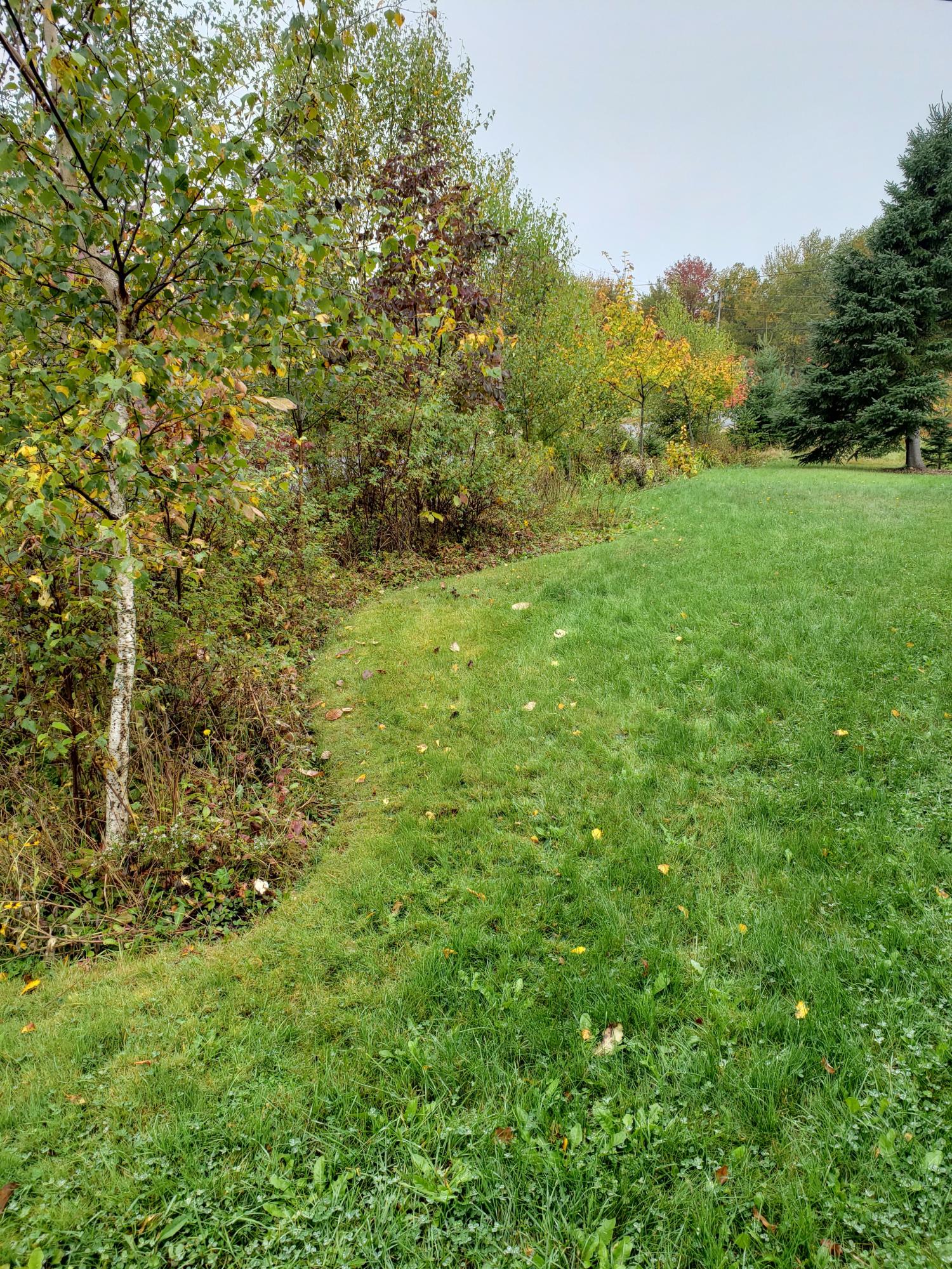 12 Rim Road Milbridge, ME 04658 - Photo 22 of 30 front garden