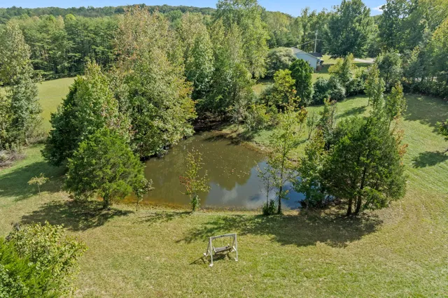 a view of a yard with swimming pool