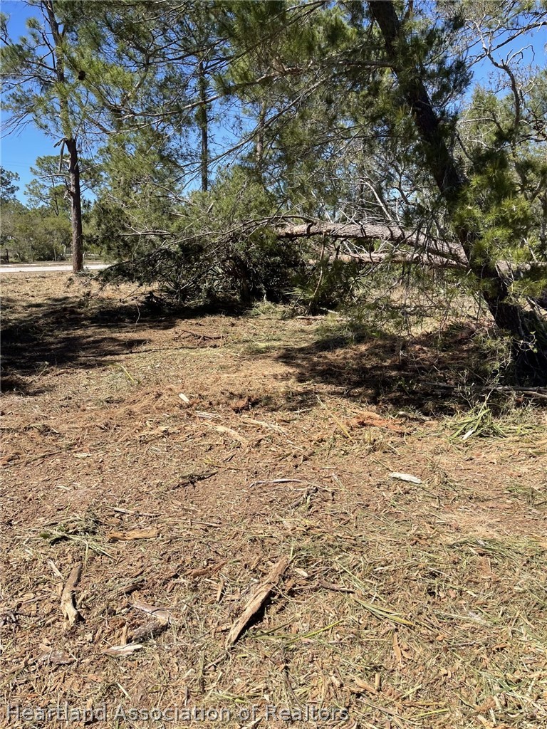 3202 State Rte 66 Sebring, FL 33875 - Photo 4 of 6