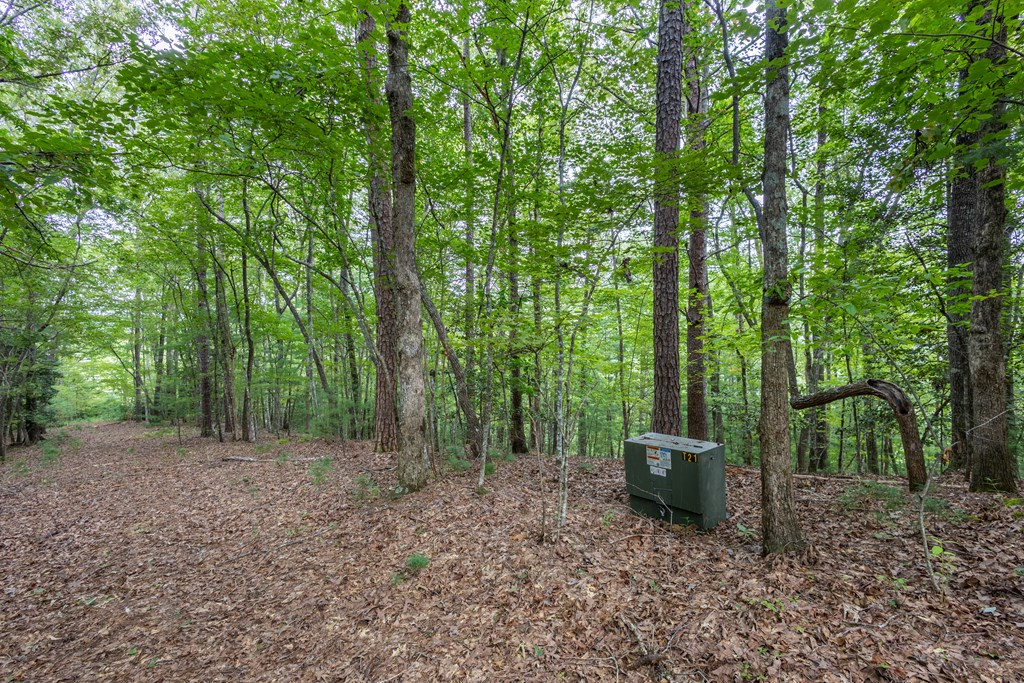 Lot 26 Persimmon Hts Road Murphy, NC 28906 - Photo 3 of 9