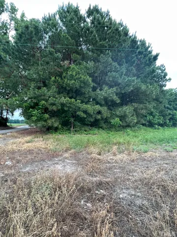 a view of a yard with a tree