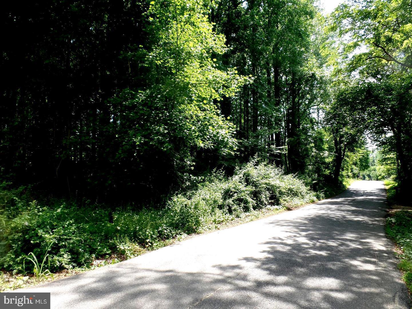 Wrights Mill Windsor Mill, MD 21244 - Photo 3 of 41 paved drive to property (deeded access)