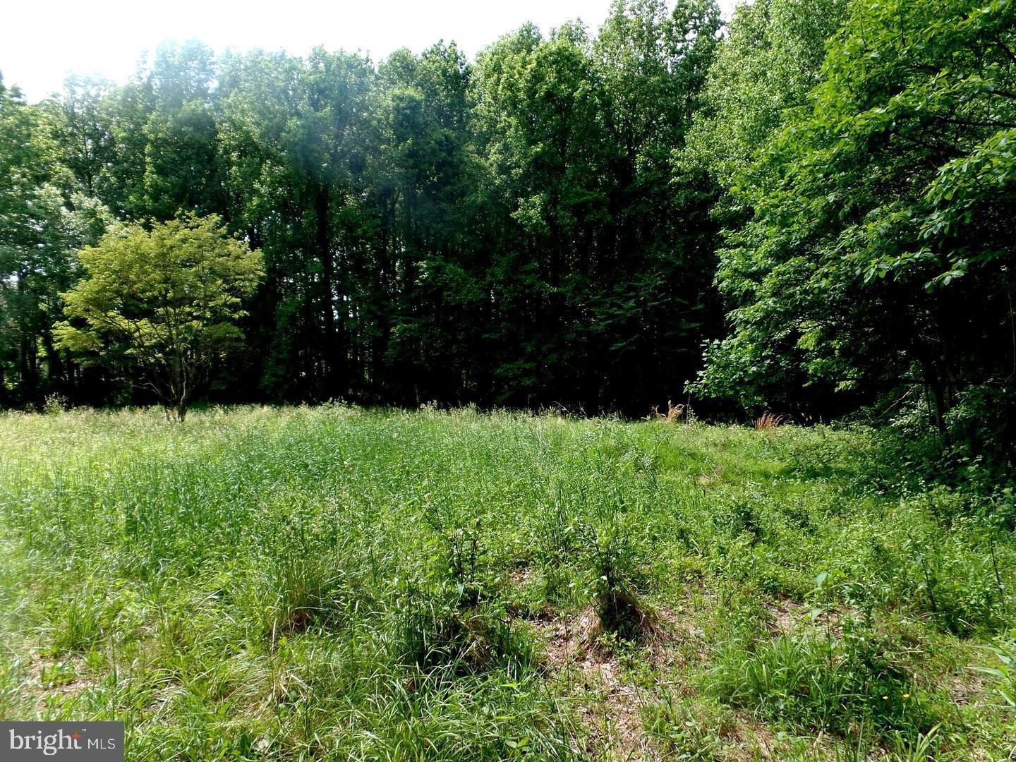 Wrights Mill Windsor Mill, MD 21244 - Photo 4 of 41