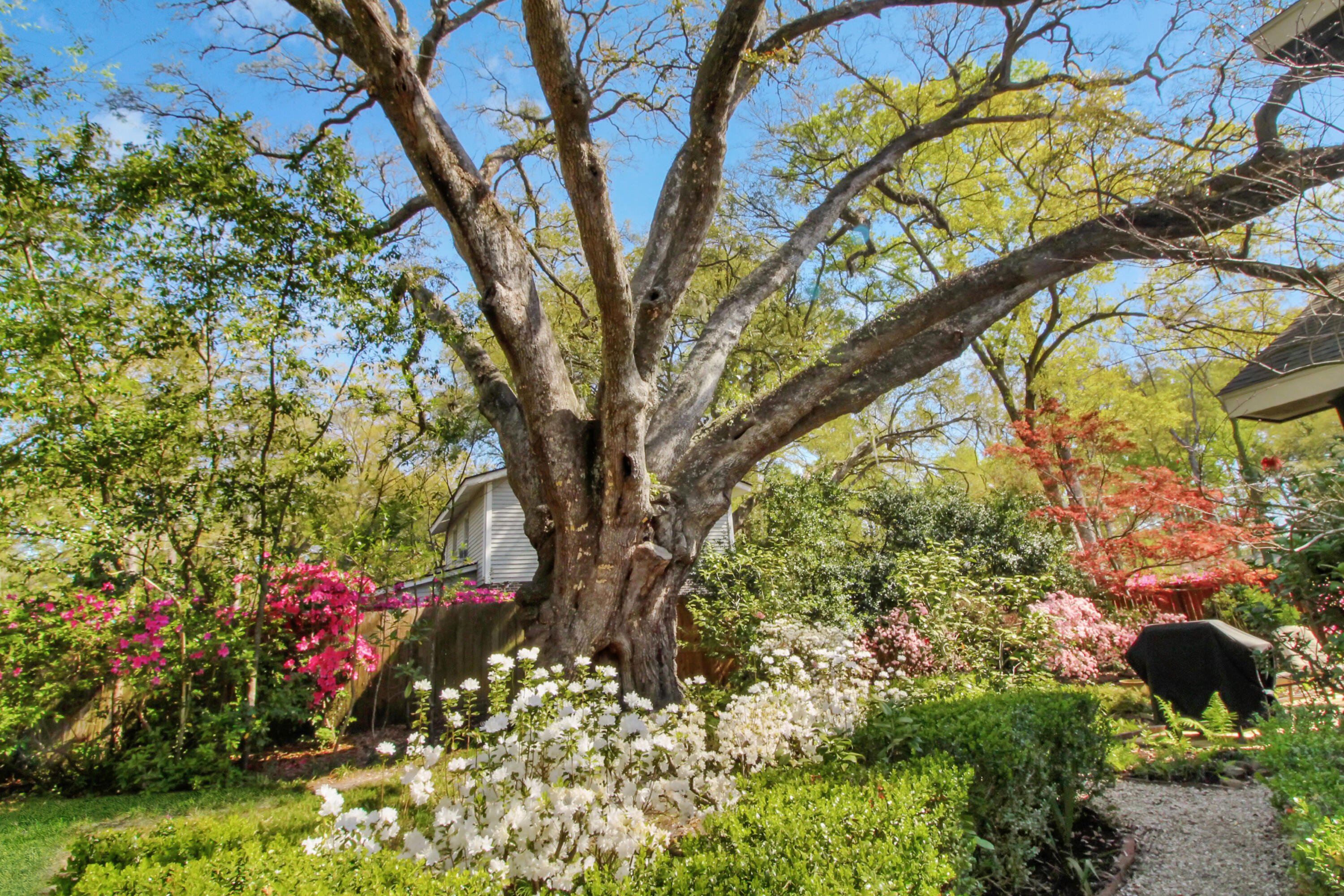 103 County Rd S-18-491 Summerville, SC 29485 - Photo 48 of 49 IMG_1283
