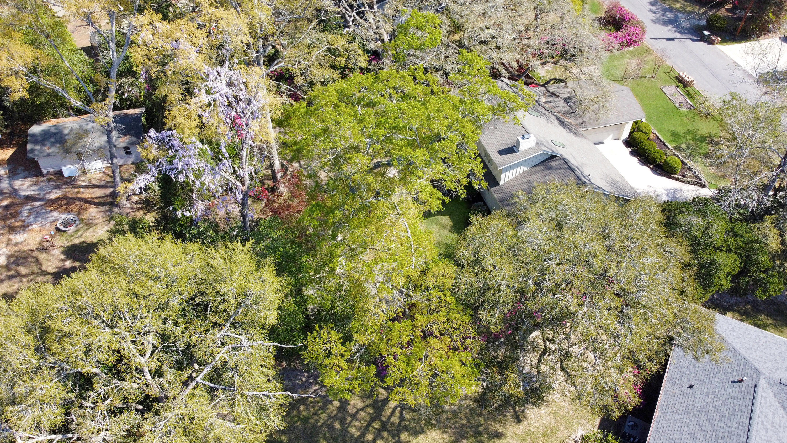 103 County Rd S-18-491 Summerville, SC 29485 - Photo 49 of 49 DJI_0370