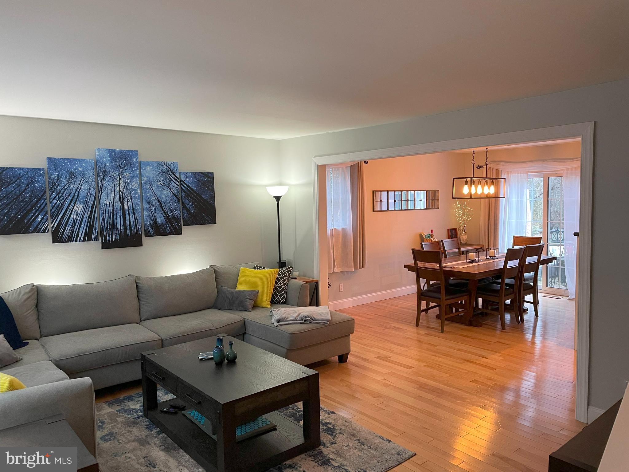 706 Cannery Row Atco, NJ 08004 - Photo 2 of 50