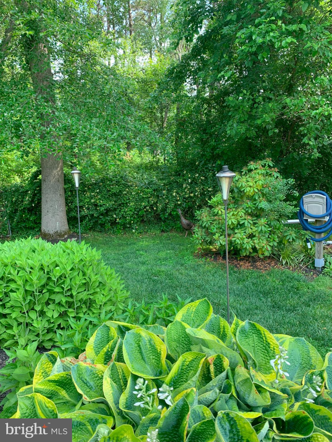 706 Cannery Row Atco, NJ 08004 - Photo 27 of 50