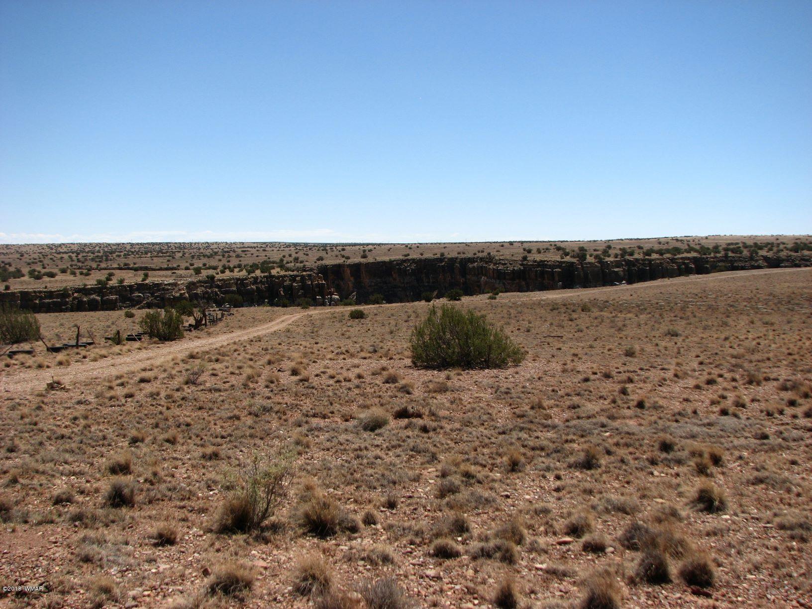 11 T16n R16e: Tract 73 Heber, AZ 85928 - Photo 3 of 10