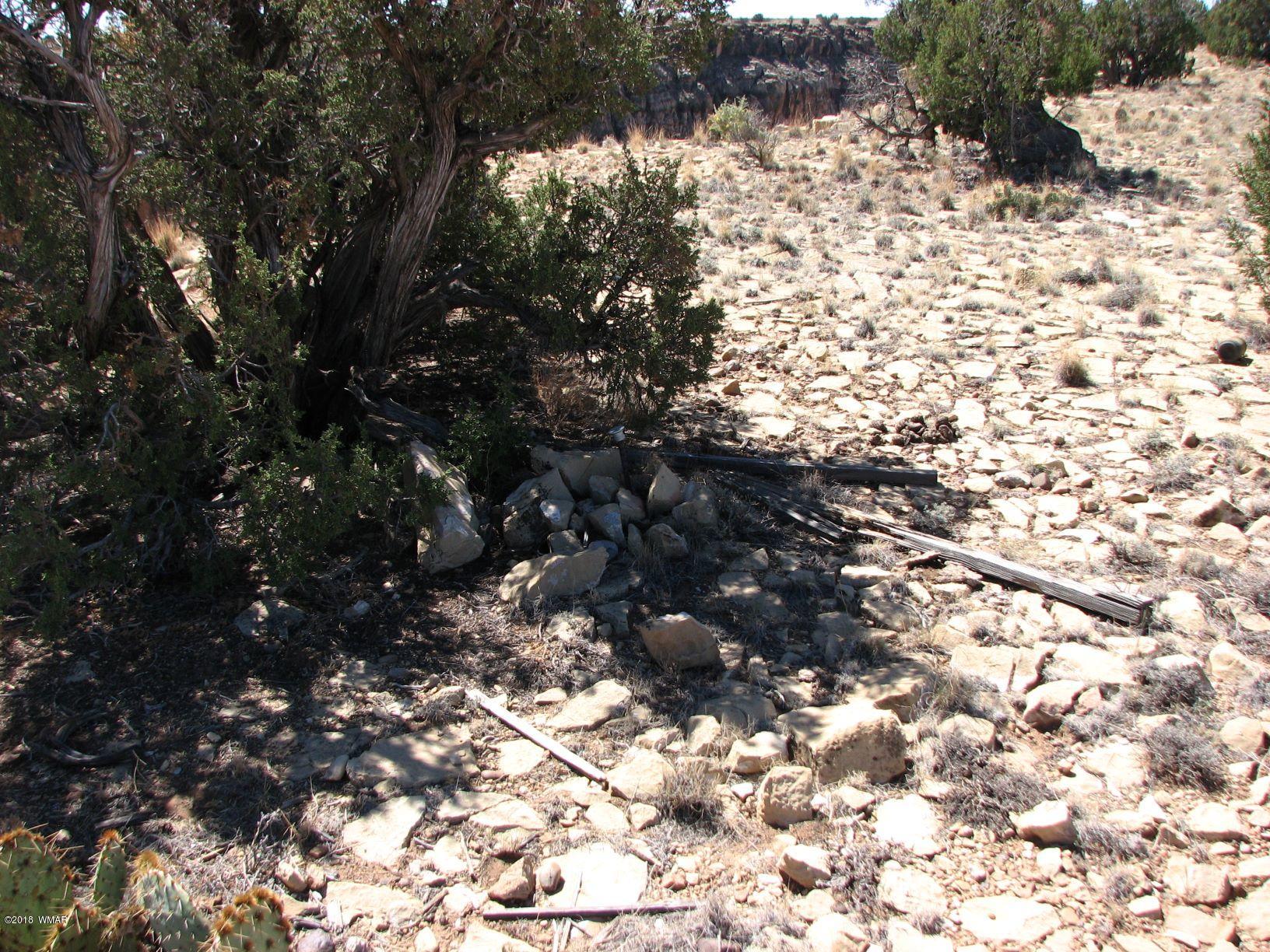 11 T16n R16e: Tract 73 Heber, AZ 85928 - Photo 8 of 10