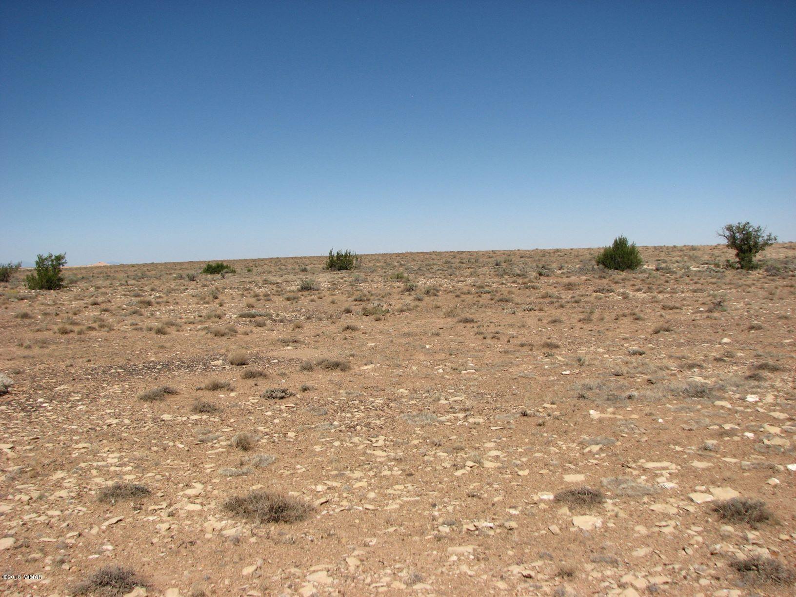 11 T16n R16e: Tract 73 Heber, AZ 85928 - Photo 10 of 10