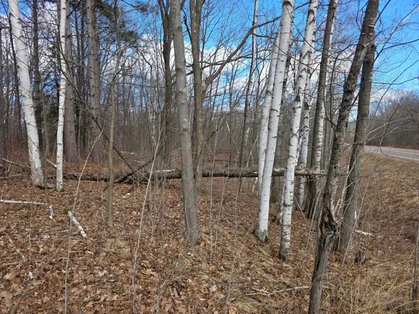 $29,900 | 0 Highway W Weyerhaeuser Wi 54895, Weyerhaeuser, WI 54895