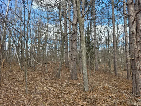 $29,900 | 0 Highway W Weyerhaeuser Wi 54895, Weyerhaeuser, WI 54895