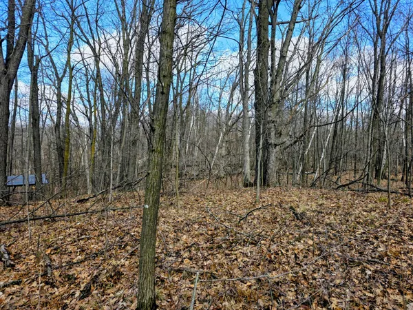 $29,900 | 0 Highway W Weyerhaeuser Wi 54895, Weyerhaeuser, WI 54895