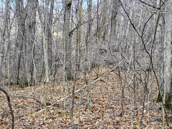 $29,900 | 0 Highway W Weyerhaeuser Wi 54895, Weyerhaeuser, WI 54895