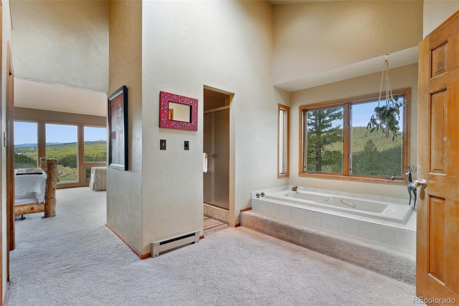 7614 South Blue Creek Road Evergreen, CO 80439 - Photo 19 of 40 Gallery Image 19