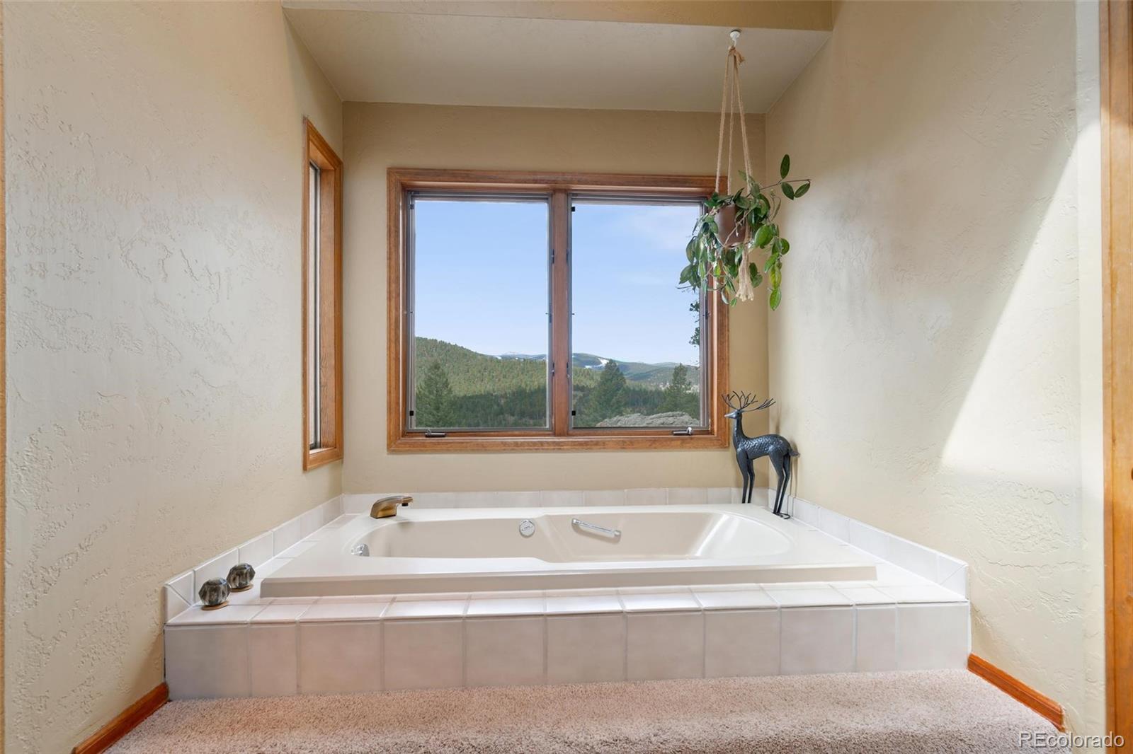 7614 South Blue Creek Road Evergreen, CO 80439 - Photo 20 of 40 Gallery Image 20