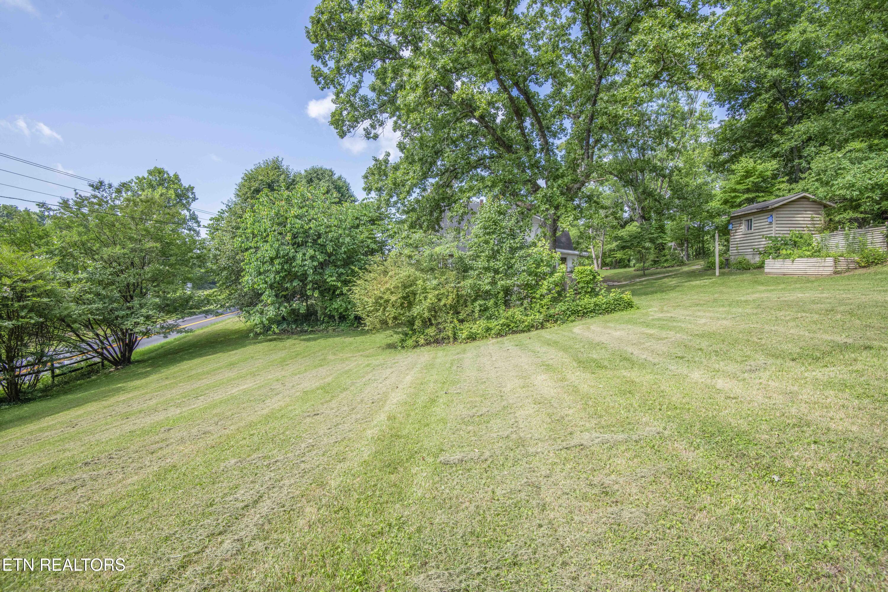 17761 Alberta Street Oneida, TN 37841 - Photo 51 of 56 yard 18_1