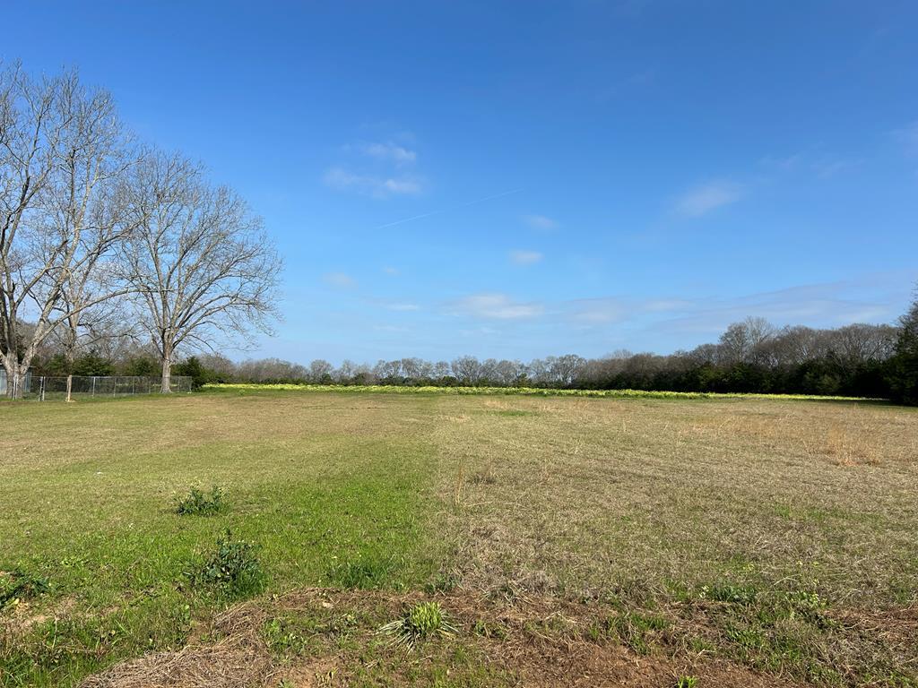 17.99-ac 17.99-ac Wicksburd Road Newton, AL 36352 - Photo 2 of 22