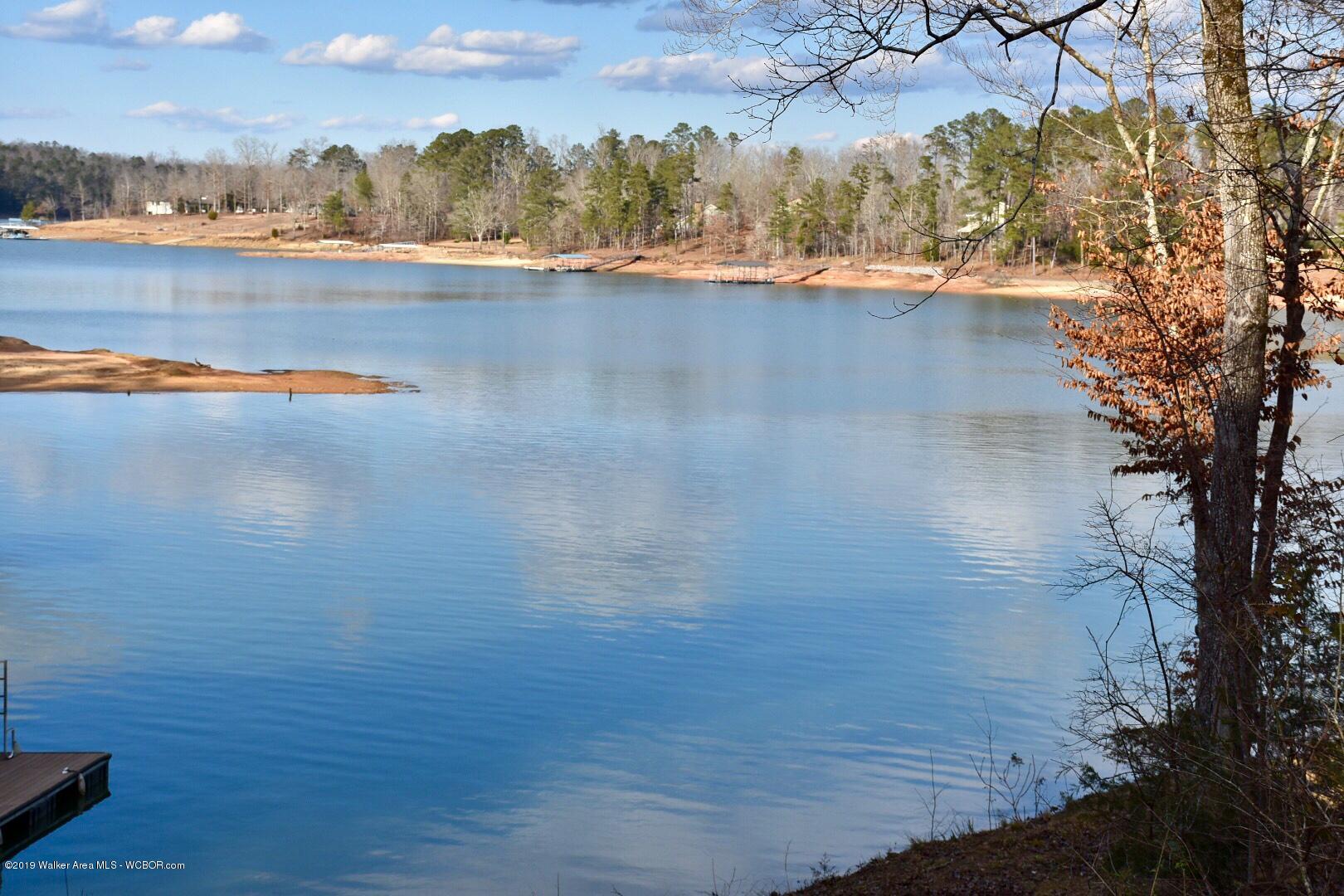 16 Stoney Pointe North Road Double Springs, AL 35553 - Photo 9 of 16 Gallery Image 9