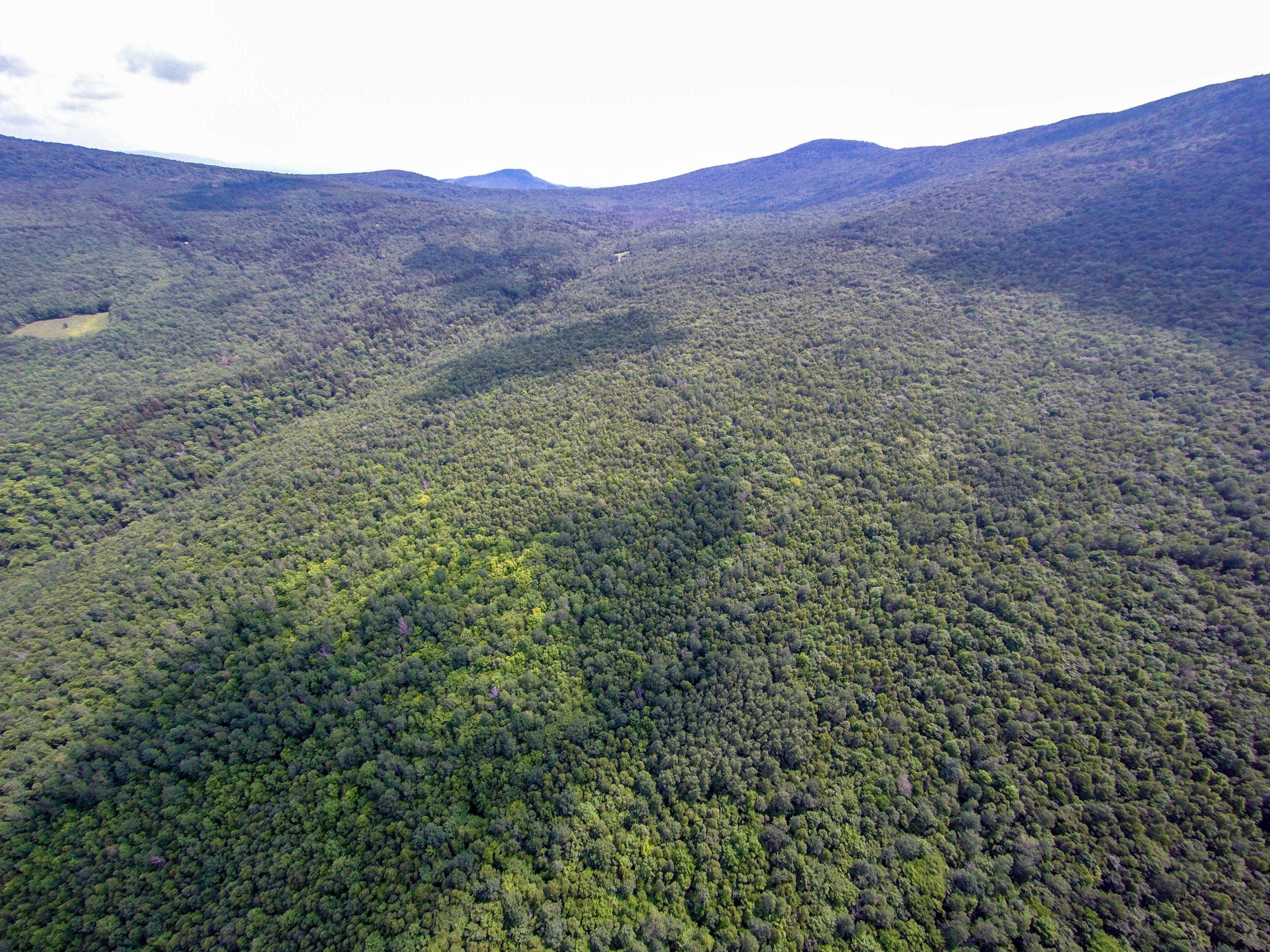 Lot 2 Puzzle Mountain Road Newry, ME 04261 - Photo 1 of 25 Bob Stewart Land-16
