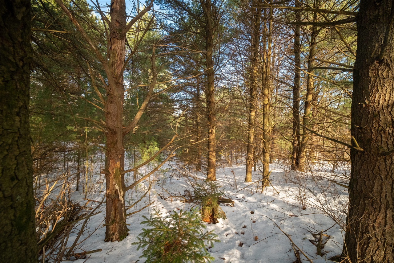 0 Erdman Road Onekama, MI 49675 - Photo 46 of 69 Gallery Image 46