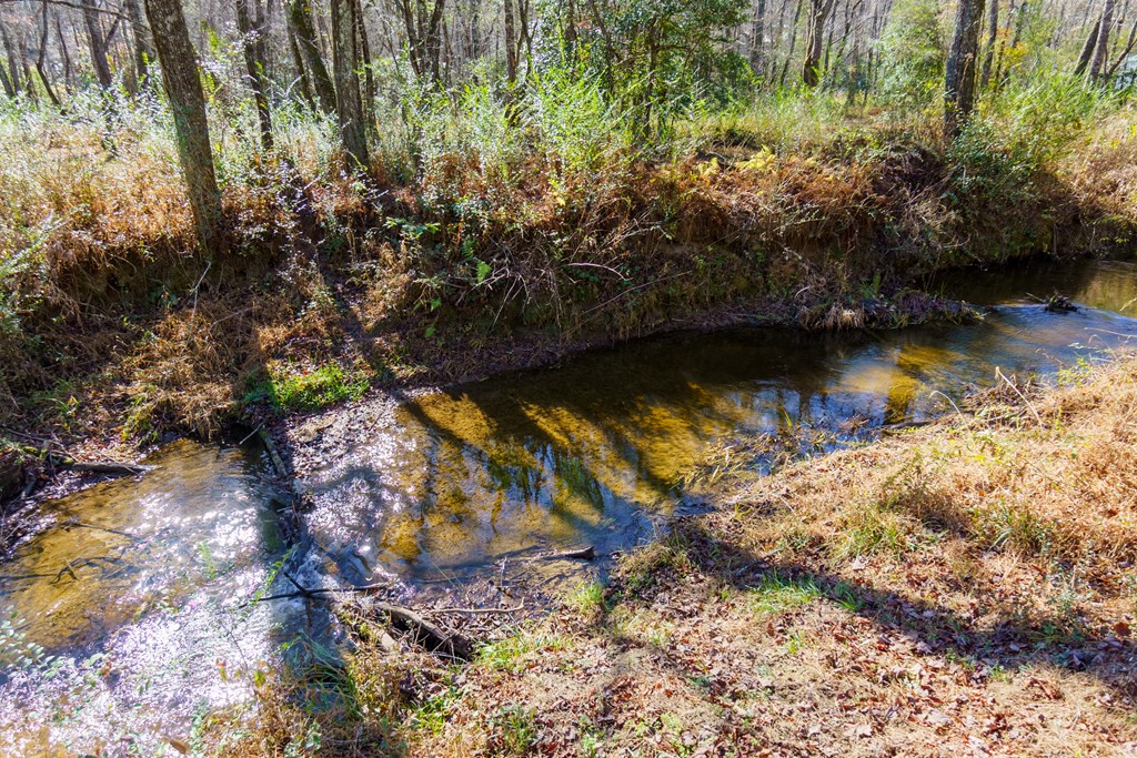 0 Pine Grove Blue Ridge, GA 30513 - Photo 19 of 23 Gallery Image 19