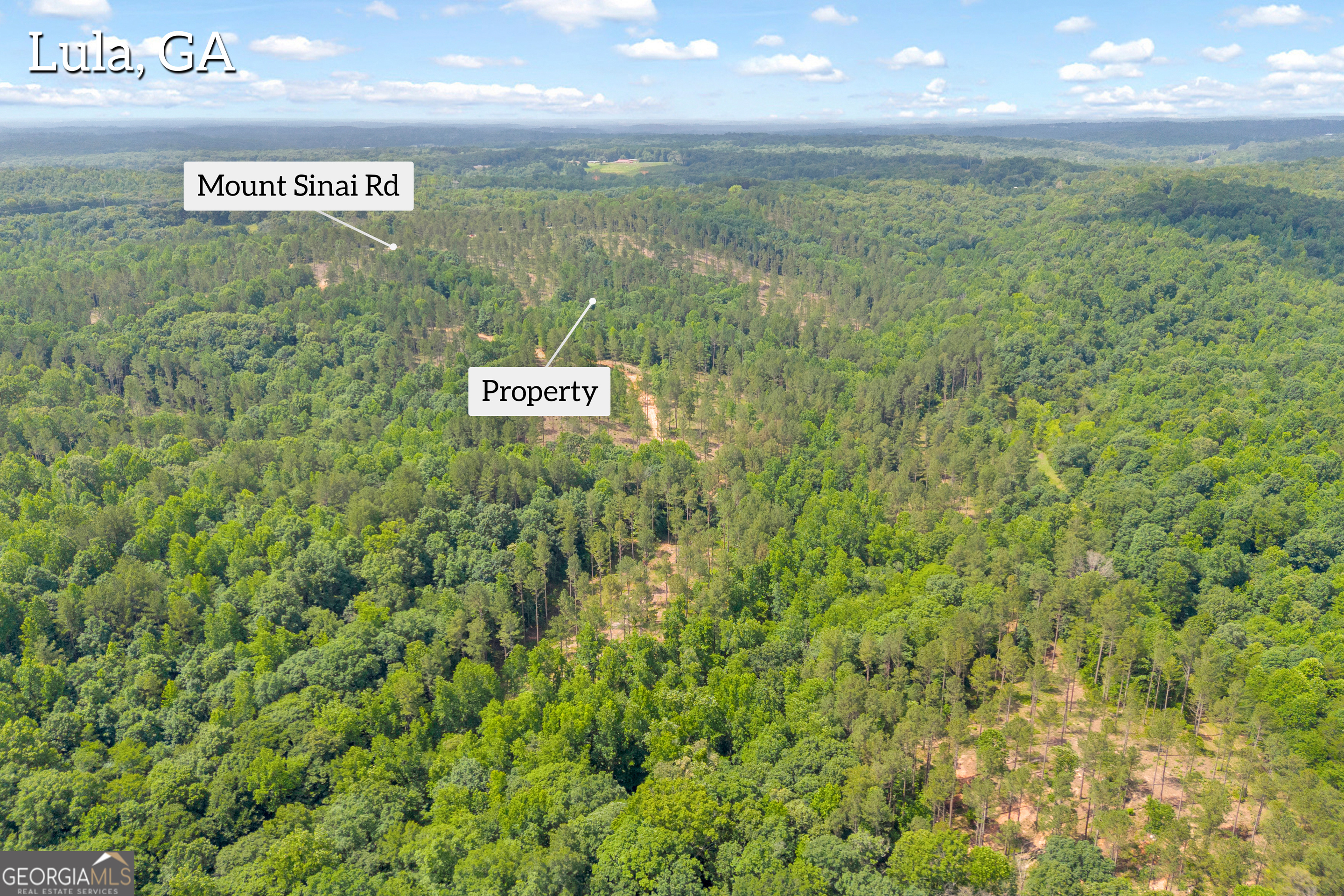 0 Mt Sinai Road, Unit LOT 1 Lula, GA 30554 - Photo 4 of 67