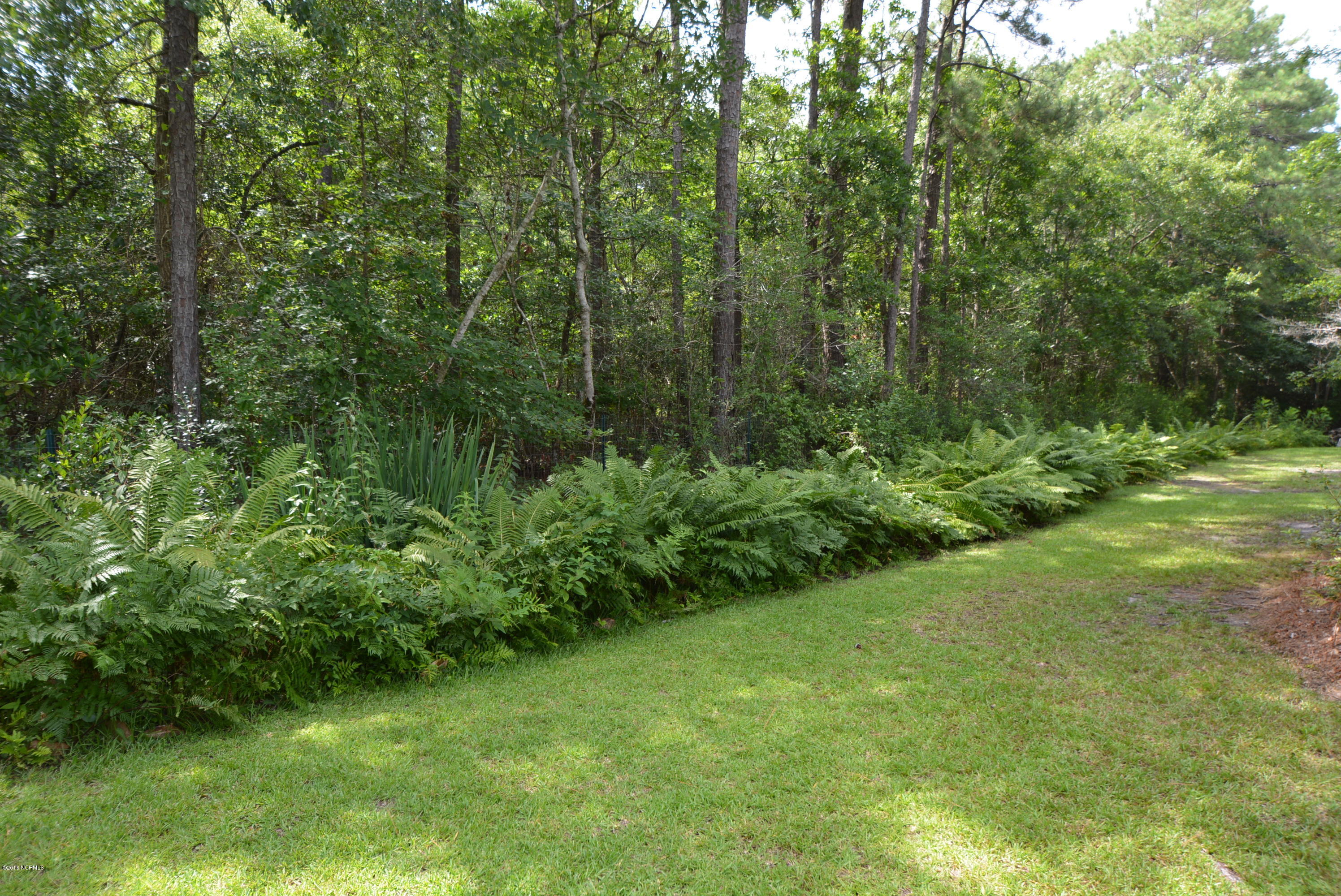 414 Hardy Road Newport, NC 28570 - Photo 31 of 31 Lovely ferns