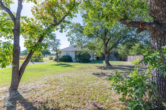 a view of a garden with trees
