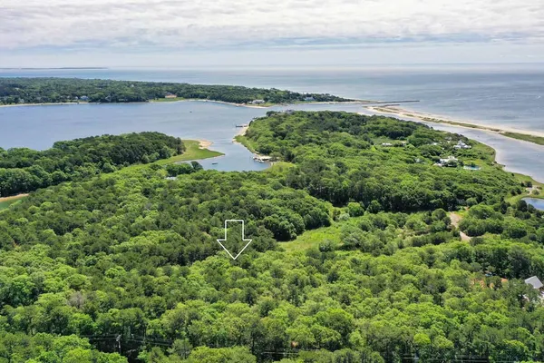 a view of a field with an ocean