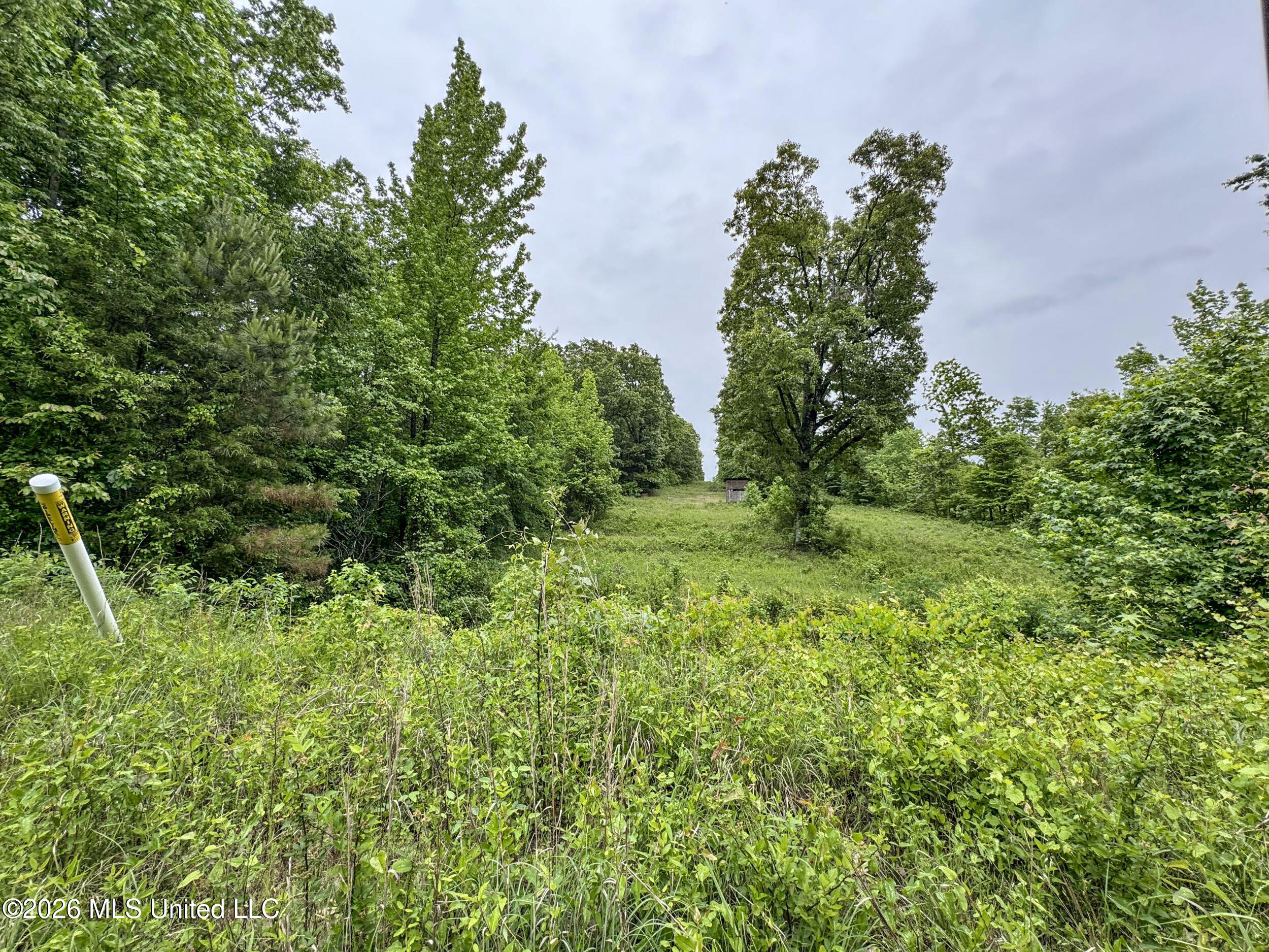 Wayne Massie Road Como, MS 38619 - Photo 124 of 184 5cdtbs62