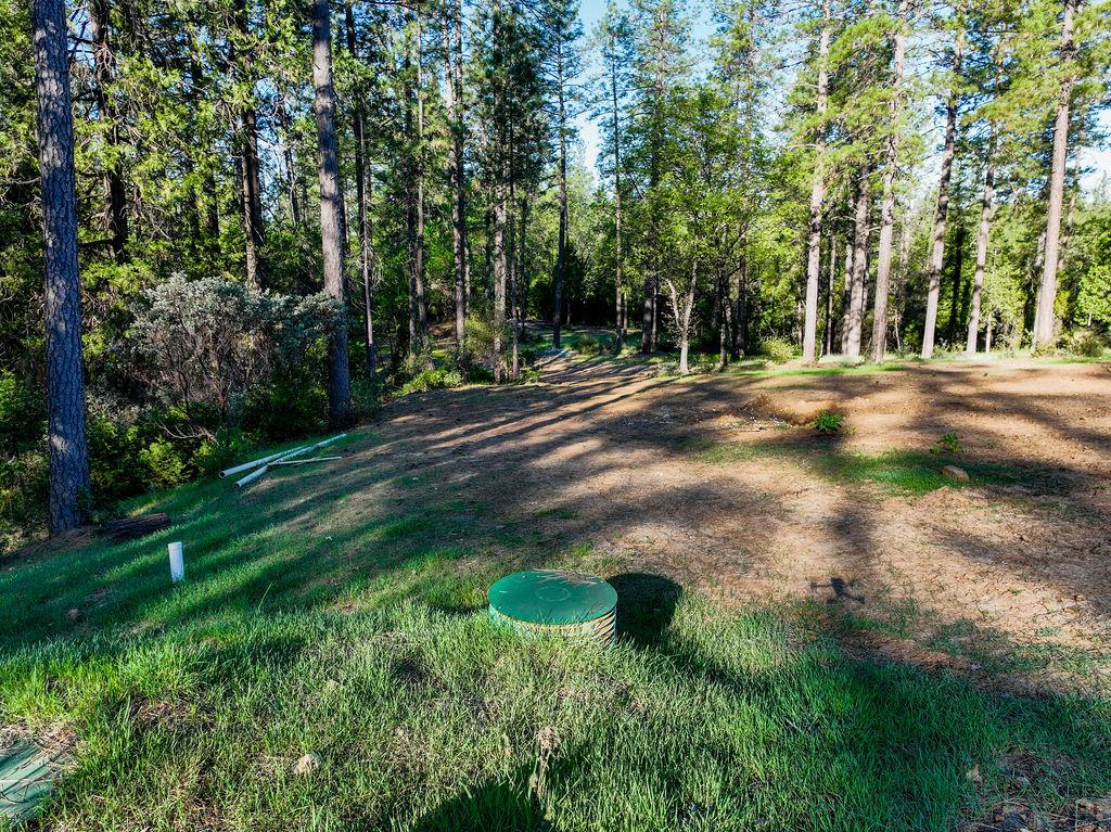 13279 Thoroughbred Loop Grass Valley, CA 95949 - Photo 11 of 33 a view of backyard