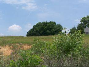 604 Mt Wesley Road Telford, TN 37690 - Photo 2 of 2 beautiful countryside views