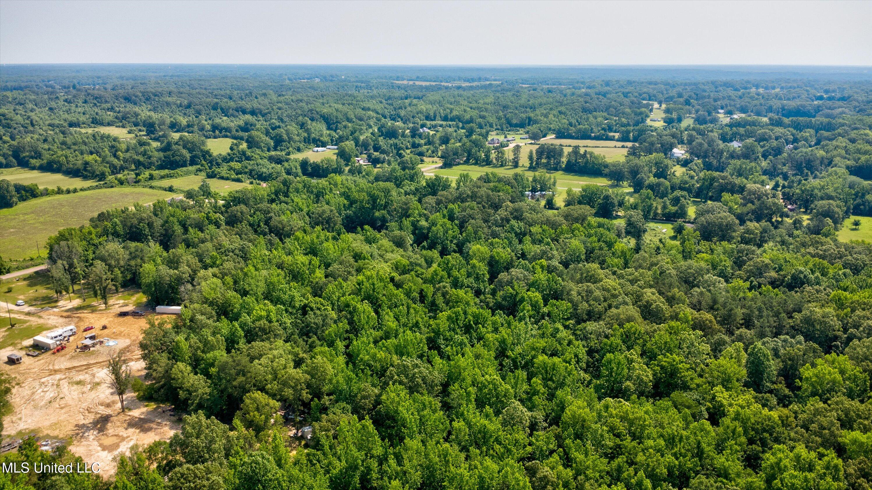 Gaines Road Hernando, MS 38632 - Photo 2 of 6 12-Drone-9