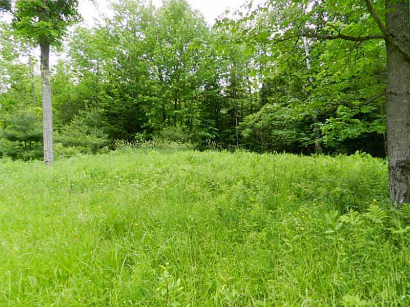 0 Sibley Pond Road Pittsfield, ME 04967 - Photo 6 of 16 Land.