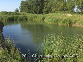 2400 E Homer, IL 61849 - Photo 16 of 20